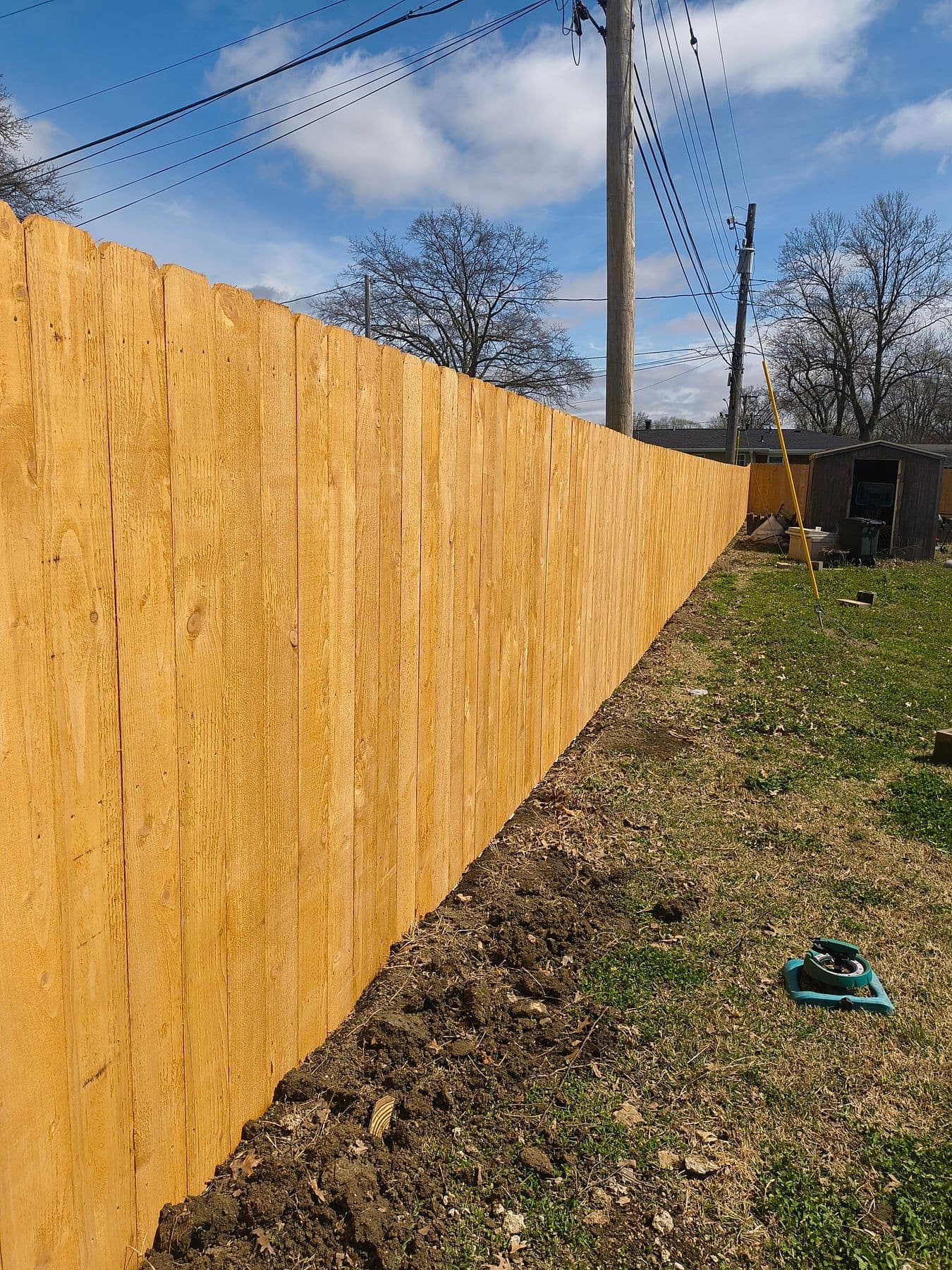 New wood privacy fence running along a backyard