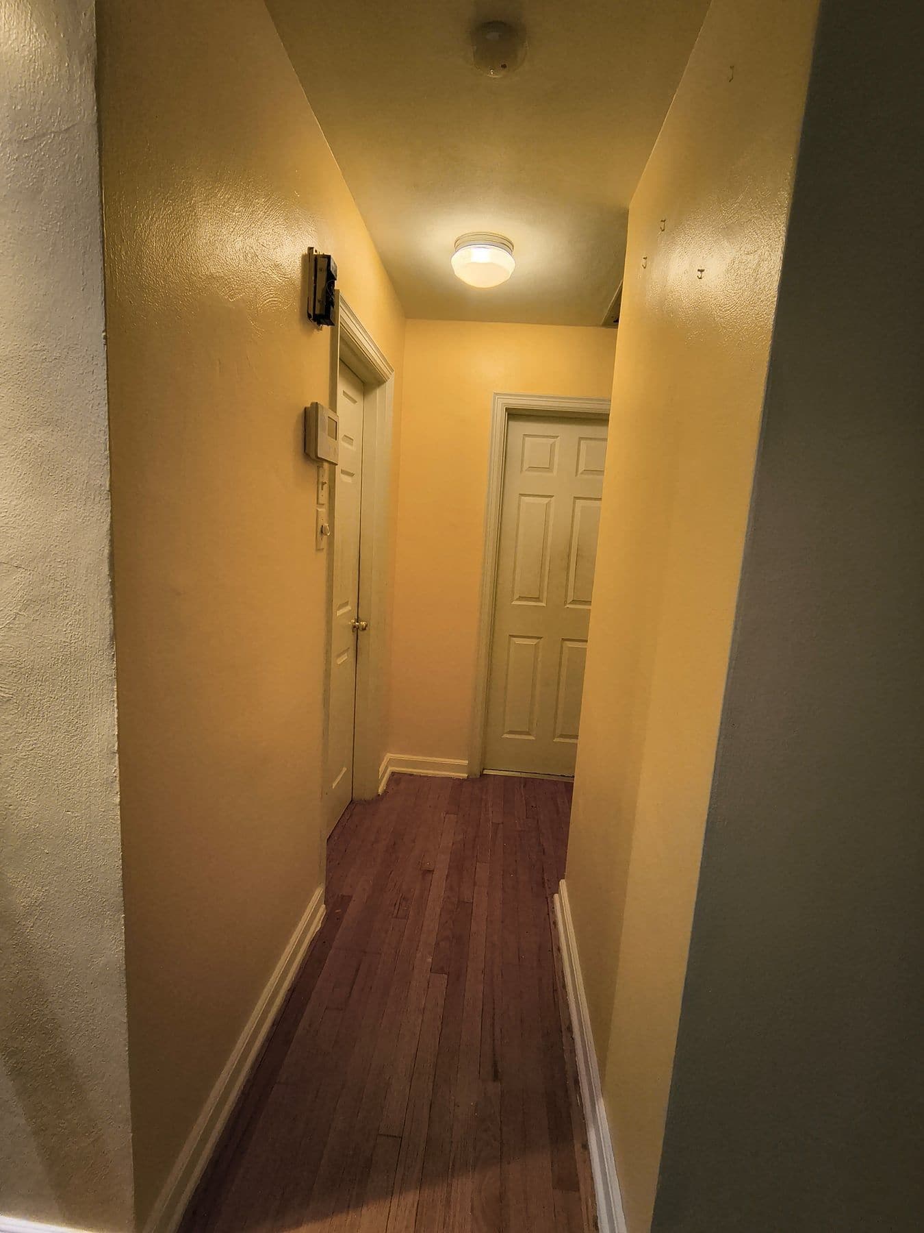Freshly painted hallway with white doors and trim