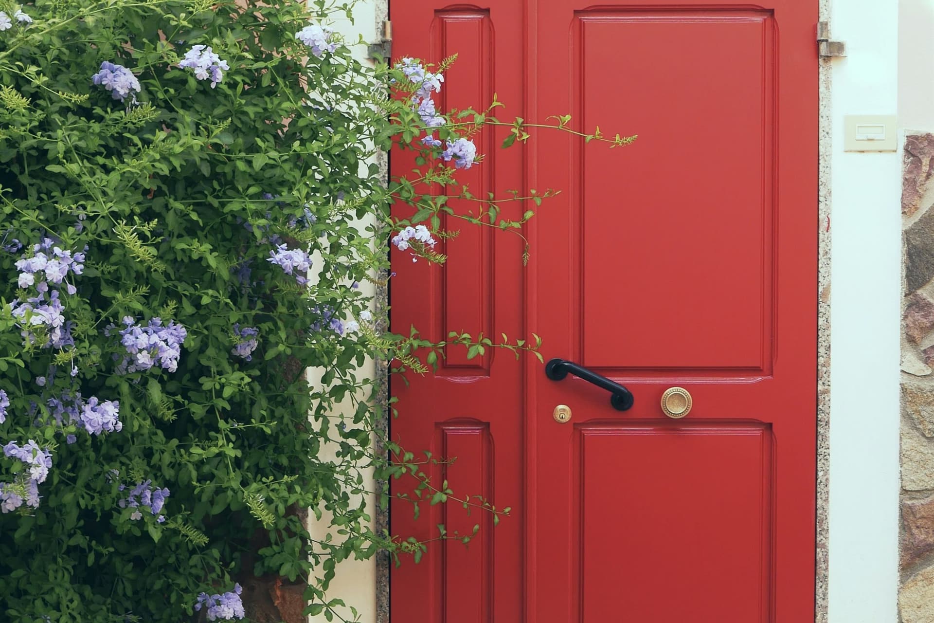 Door Painting